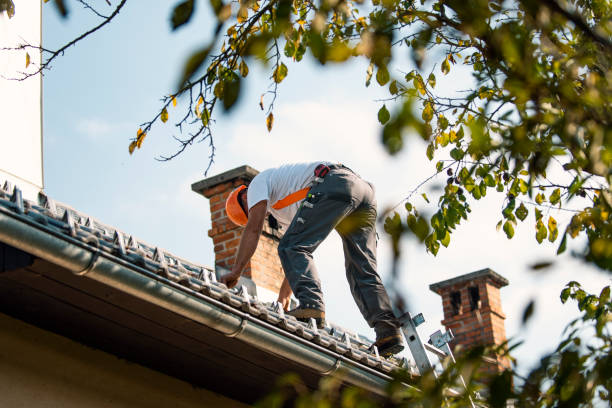 Best Roof Inspection Near Me  in New London, MN