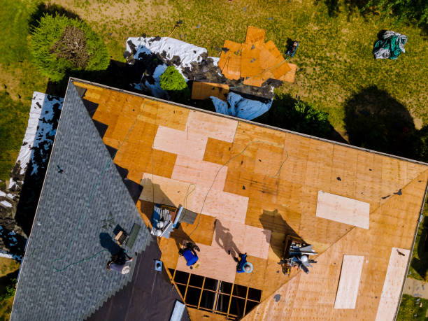 Best Roof Leak Repair  in New London, MN