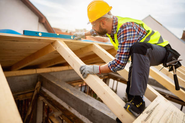Best Roof Maintenance Services  in New London, MN