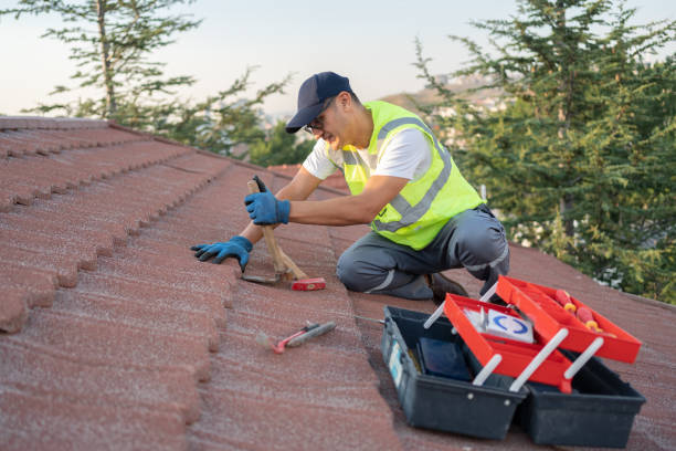 Best Affordable Roofing Company  in New London, MN
