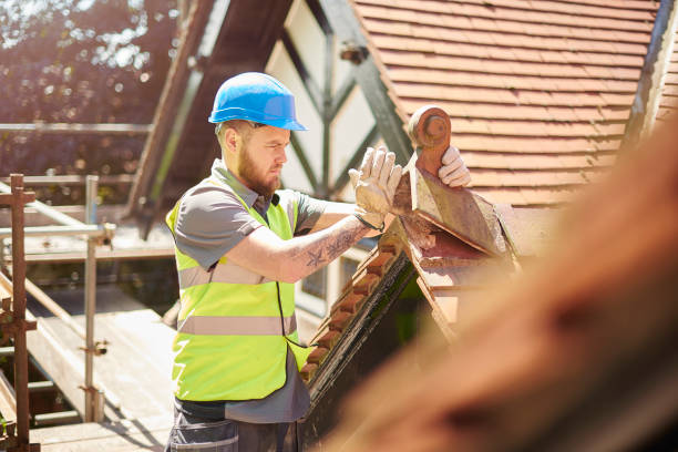 Best Roof Leak Repair  in New London, MN